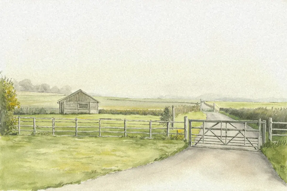 Illustration: selling a paddock at auction, a guide from AgLand
