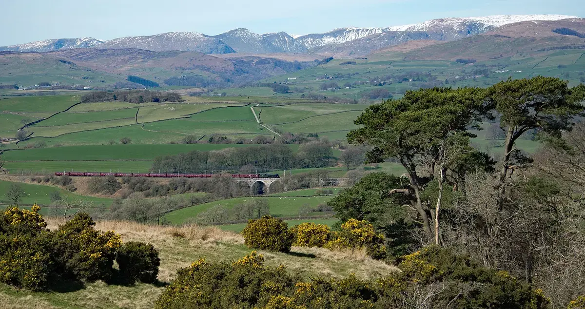 Fields and fells, Cumbria