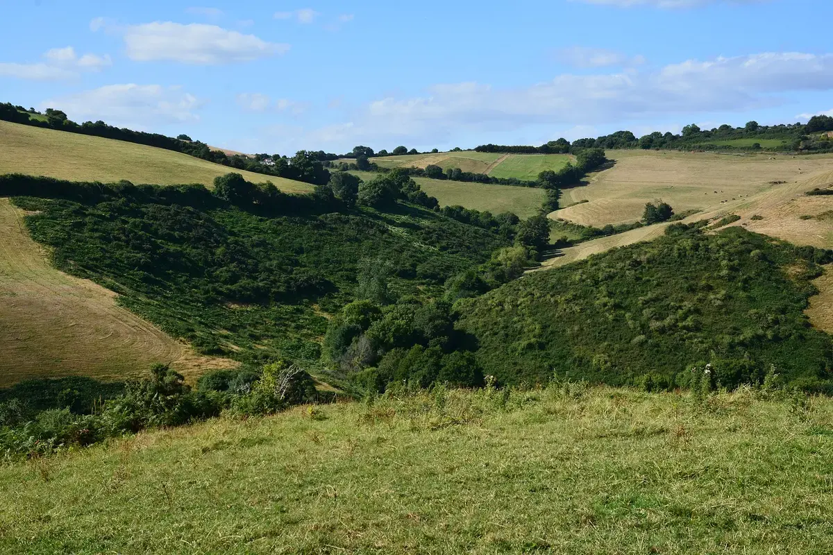 Rolling hedged fields and a wooded valley in the South Hams, Devon