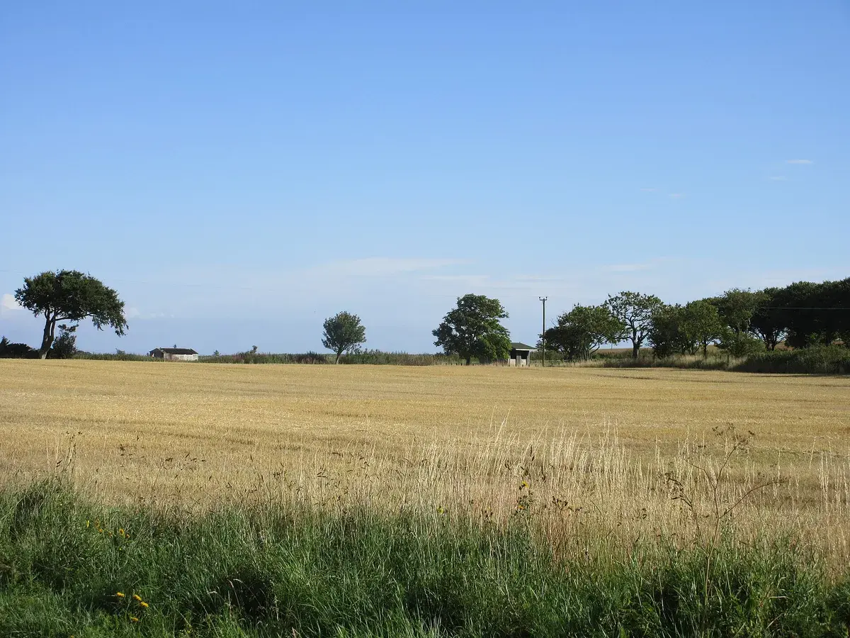 Harvested field, Fife