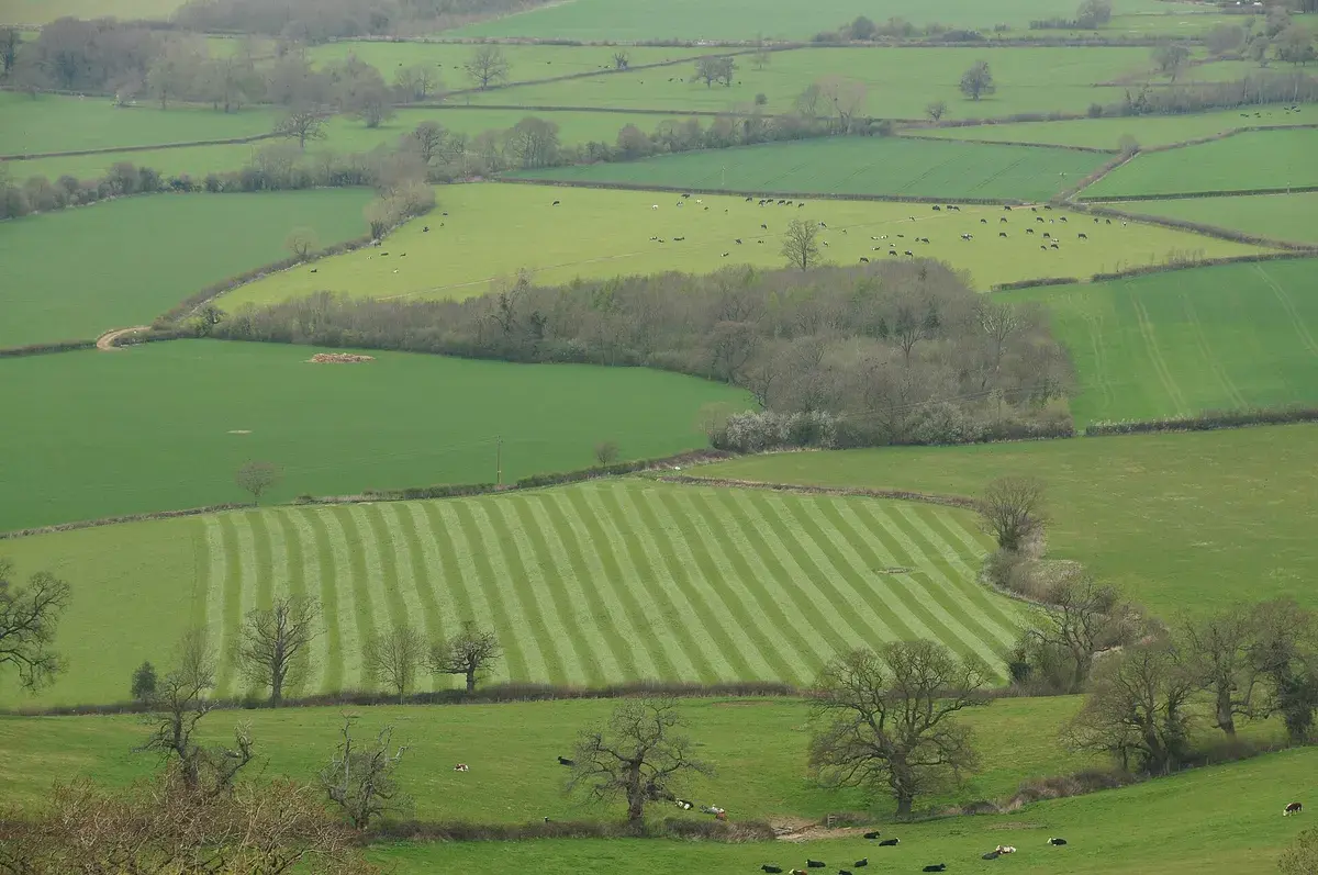 Fields below Frocester Hill, Gloucestershire