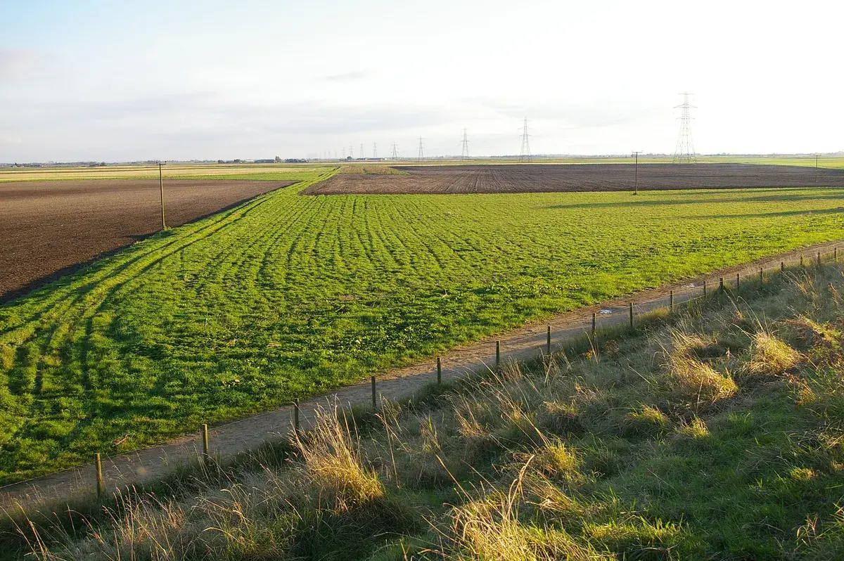 Fenland farmland, Norfolk