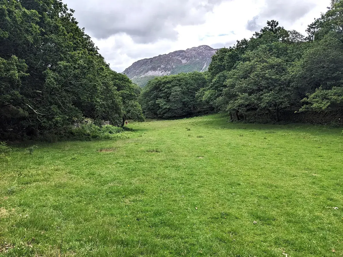 A field near Carneddi, North Wales