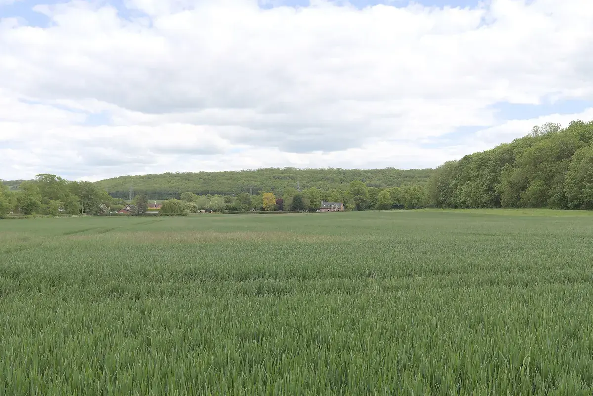 A field in Nottinghamshire