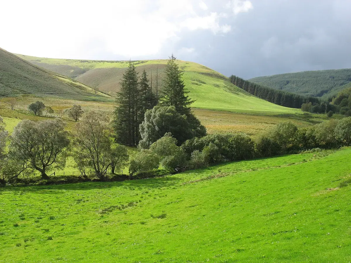 Esgair Cae, Powys