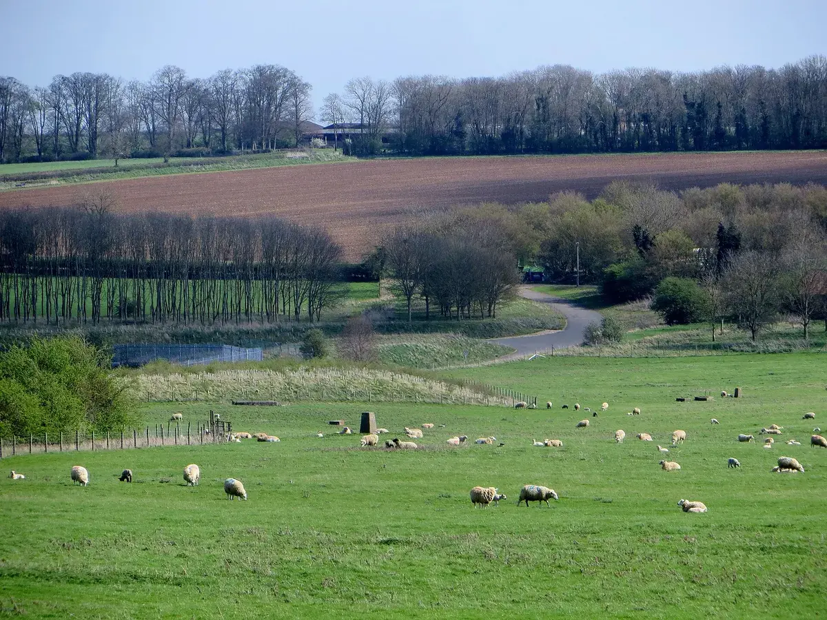 Meadow below the dam, Rutland Water