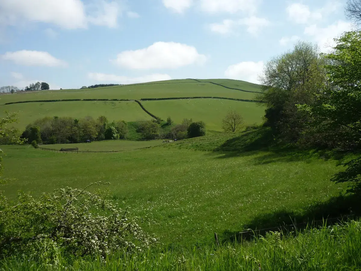 Near Ashkirk, Scottish Borders