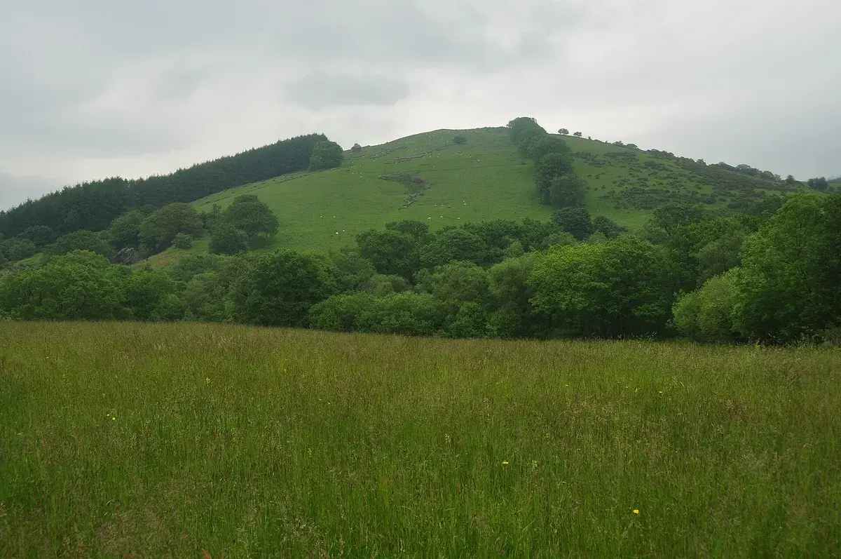 Hillside above Dolaucothi, South Wales
