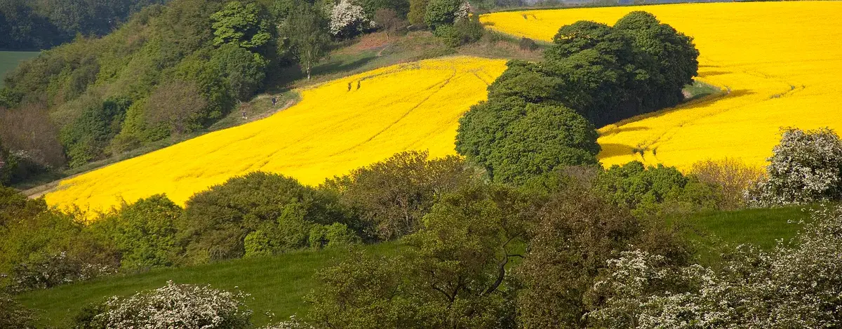 Fields in the West Midlands