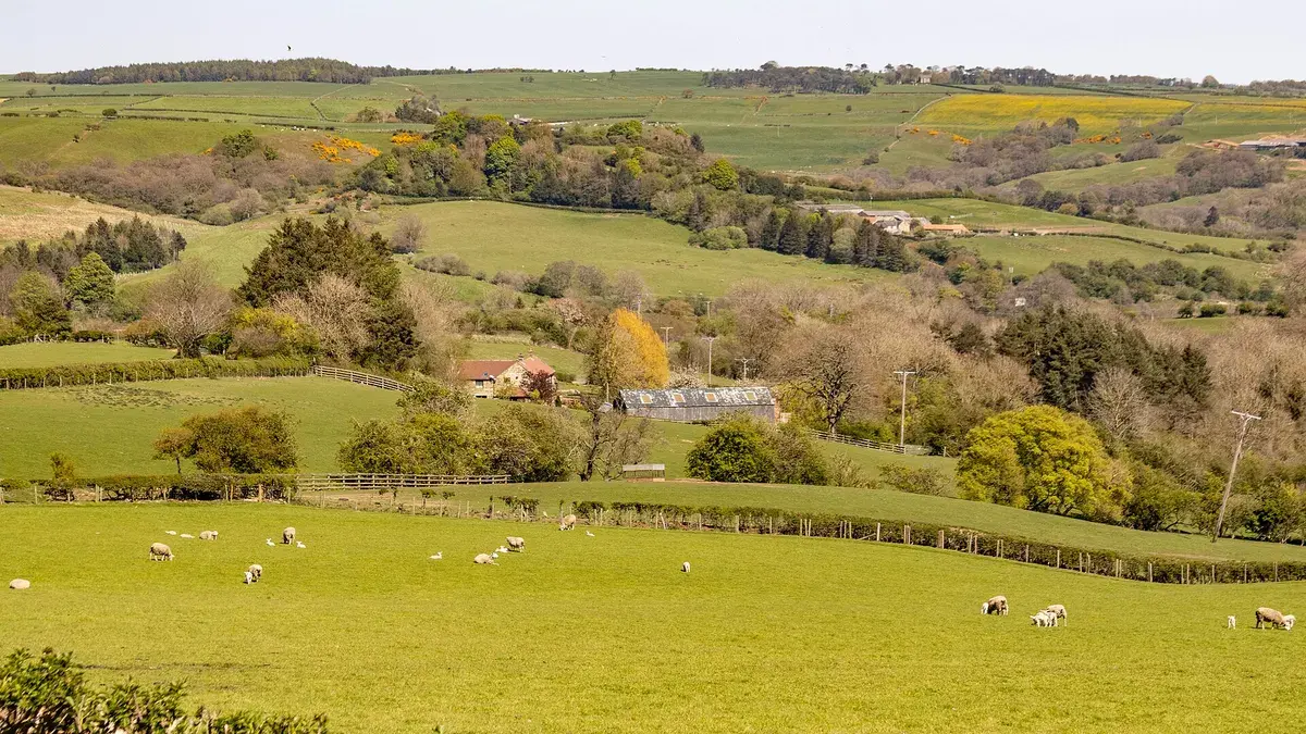 Low Wood Side, Yorkshire