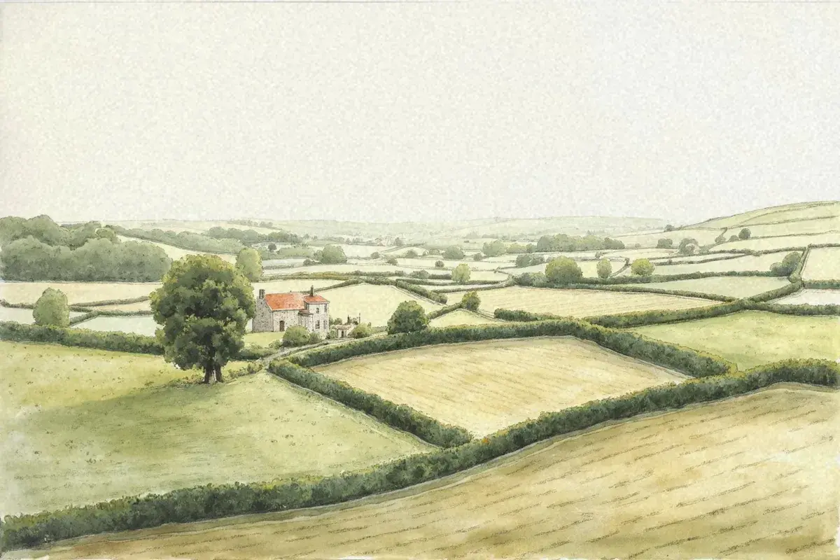 Illustration: selling land privately in the UK, a practical guide from AgLand