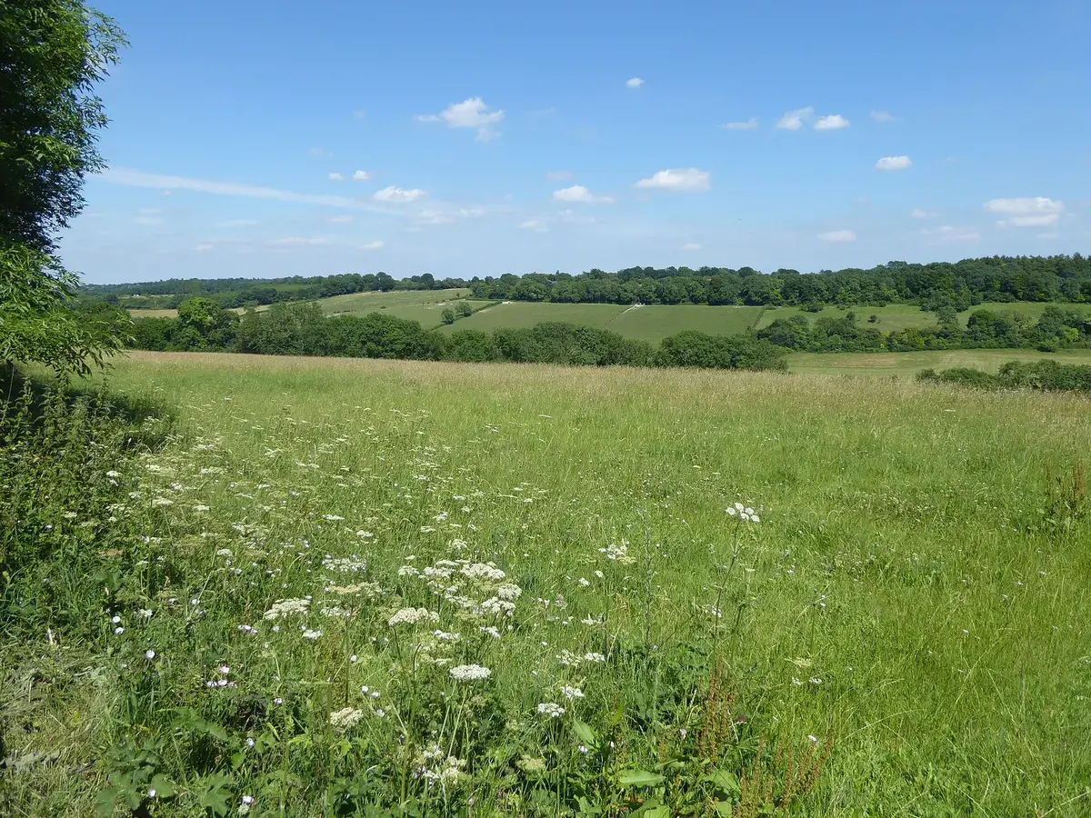 Countryside view at Higham's Hill, London