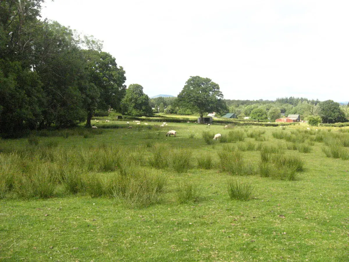 Goetre Farmland, Monmouthshire