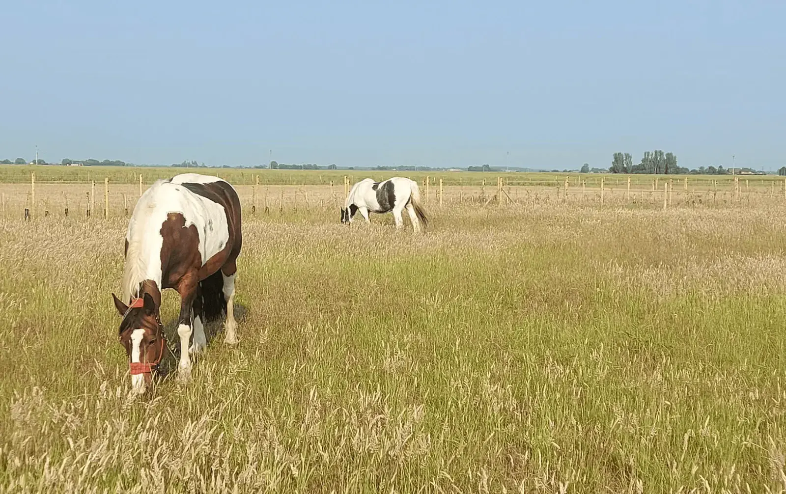 22-acre Equestrian Property in Sutton, Worcestershire